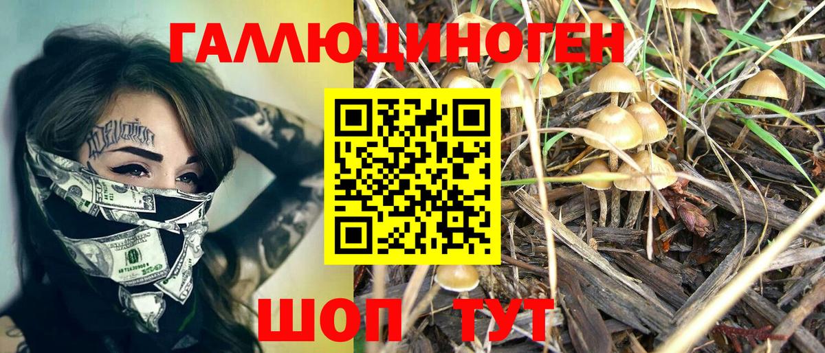 Кстово  Псилоцибиновые грибы прущие грибы  Псилоцибиновые грибы Cubensis  Вход с VPN 