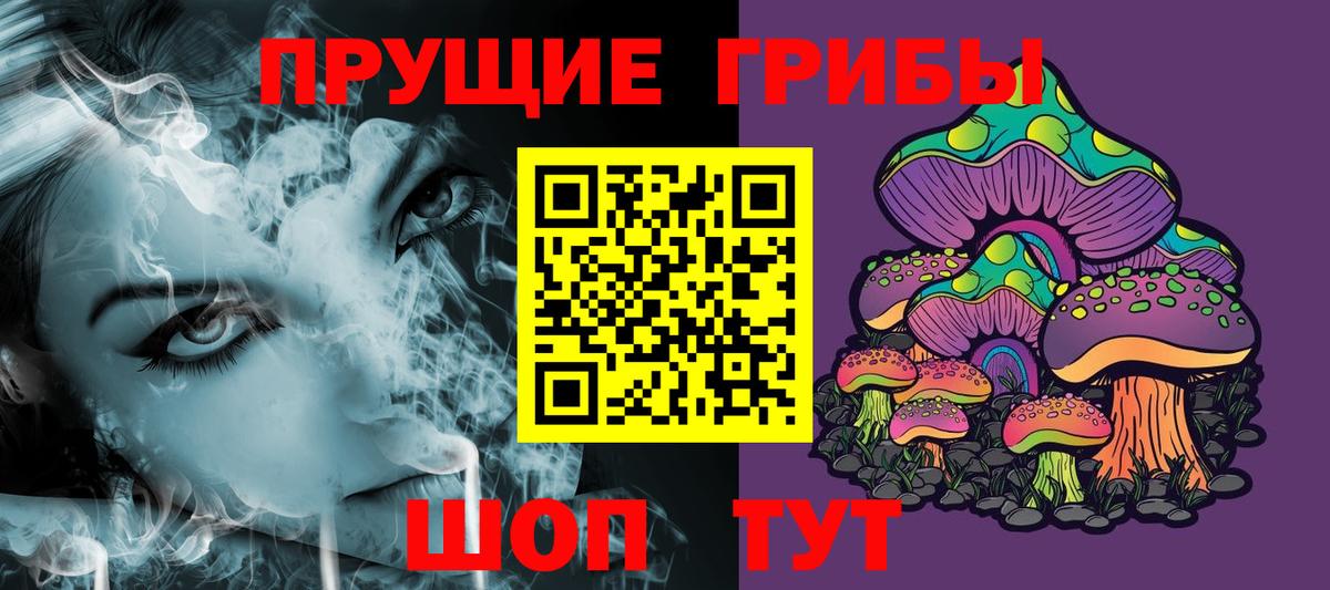 Галлюциногенные грибы Psilocybe Кстово